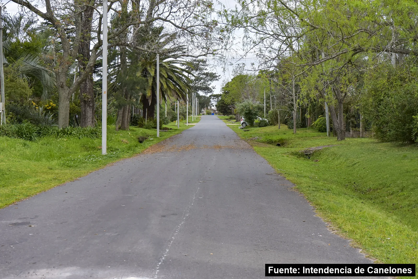Calle renovada entre árboles y columnas de alumbrado en el Municipio de La Floresta