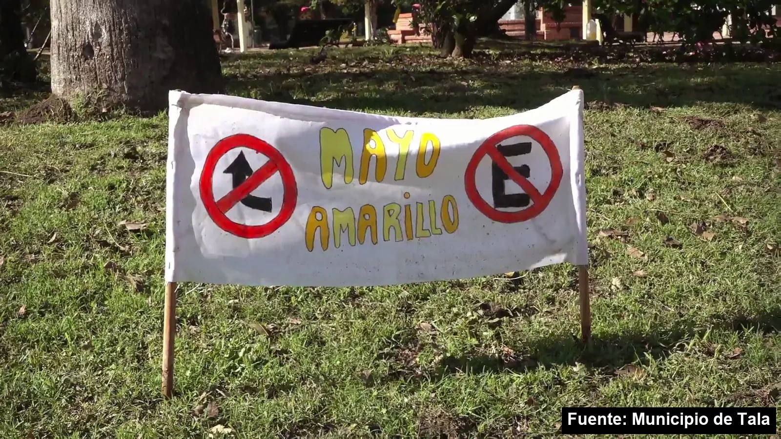 Cartel pintado a mano con la palabra Mayo Amarillo y dos señales de tránsito en el pasto de la plaza de Tala