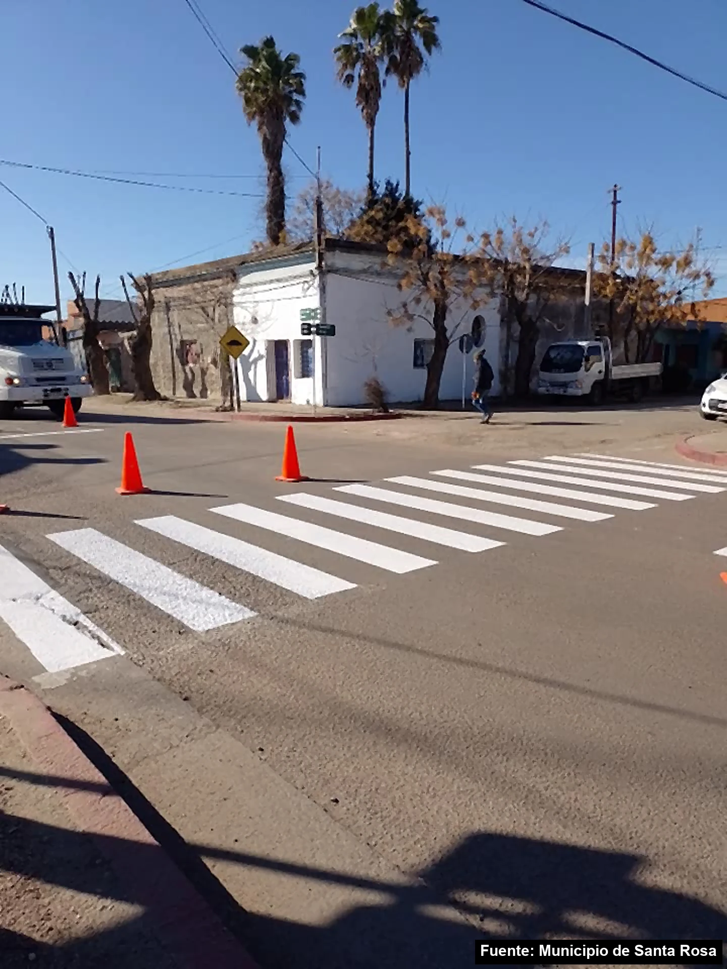 Mayo Amarillo en Santa Rosa 2 Cebra recién pintada en una esquina de la avenida Tomás Berreta, con conos naranjas, en Santa Rosa, Canelones