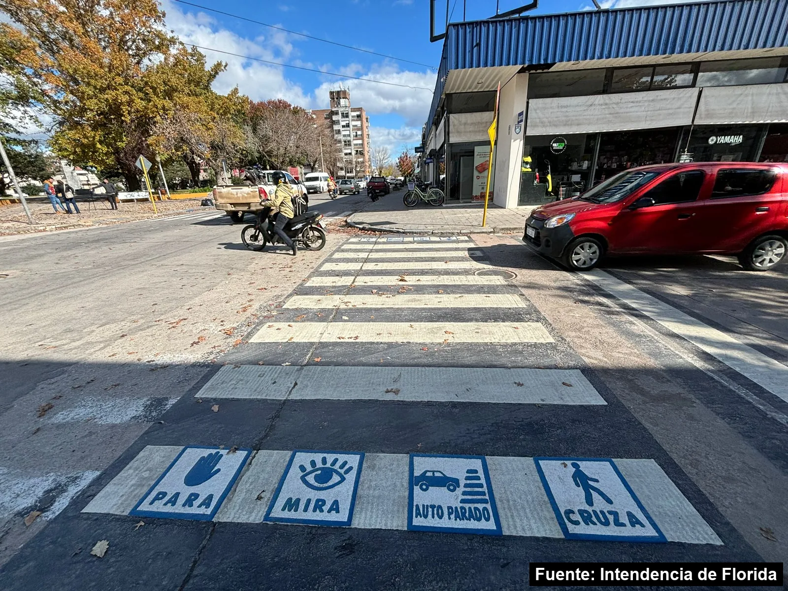 Mayo Amarillo en Florida (ciudad) 8 Cebra peatonal con pictogramas de para, mira, auto parado y cruza en una esquina de la Plaza Artigas de Florida