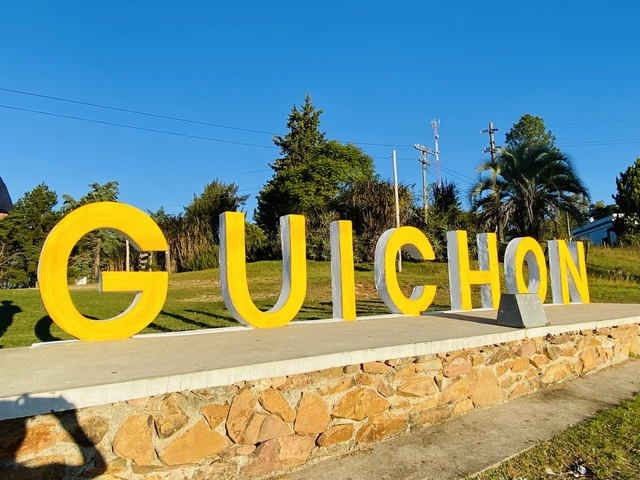 Mayo Amarillo en Paysandú 5 Guichón