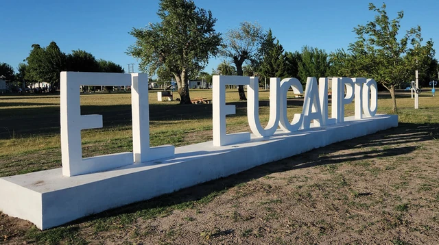 Mayo Amarillo en Paysandú 4 El Eucalipto