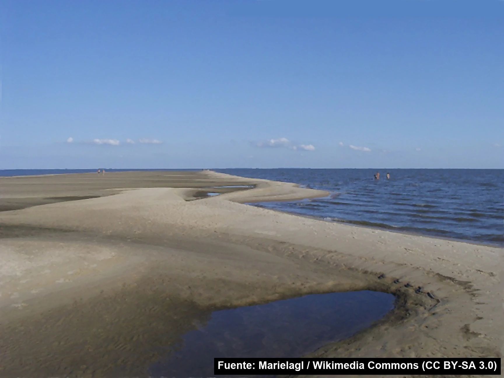Mayo Amarillo en Laguna Merín 2 playa balneario lago merin cerro largo