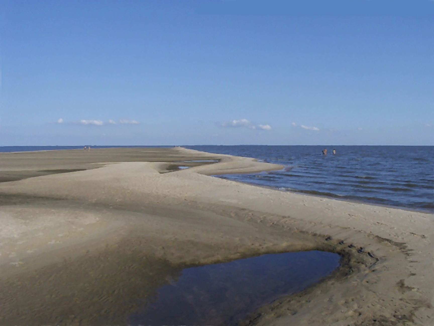 Mayo Amarillo en Laguna Merín 1 playa balneario lago merin cerro largo