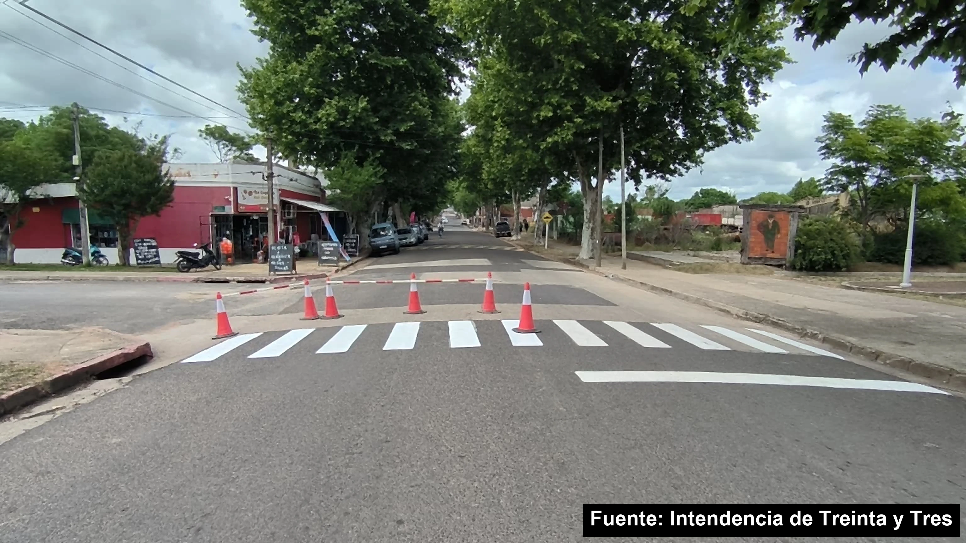 Mayo Amarillo en Treinta y Tres (ciudad) 3 Senda peatonal recién pintada, con conos naranjas, en una esquina arbolada de Treinta y Tres