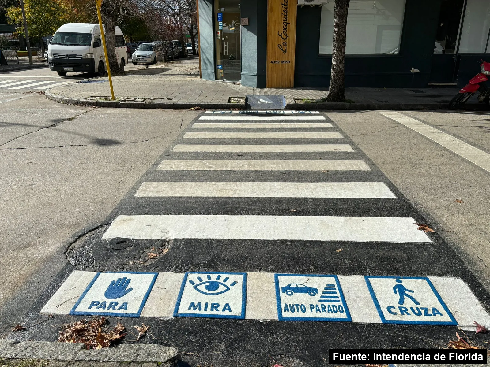 Cebra con la franja de pictogramas para, mira, auto parado y cruza en una esquina de Florida