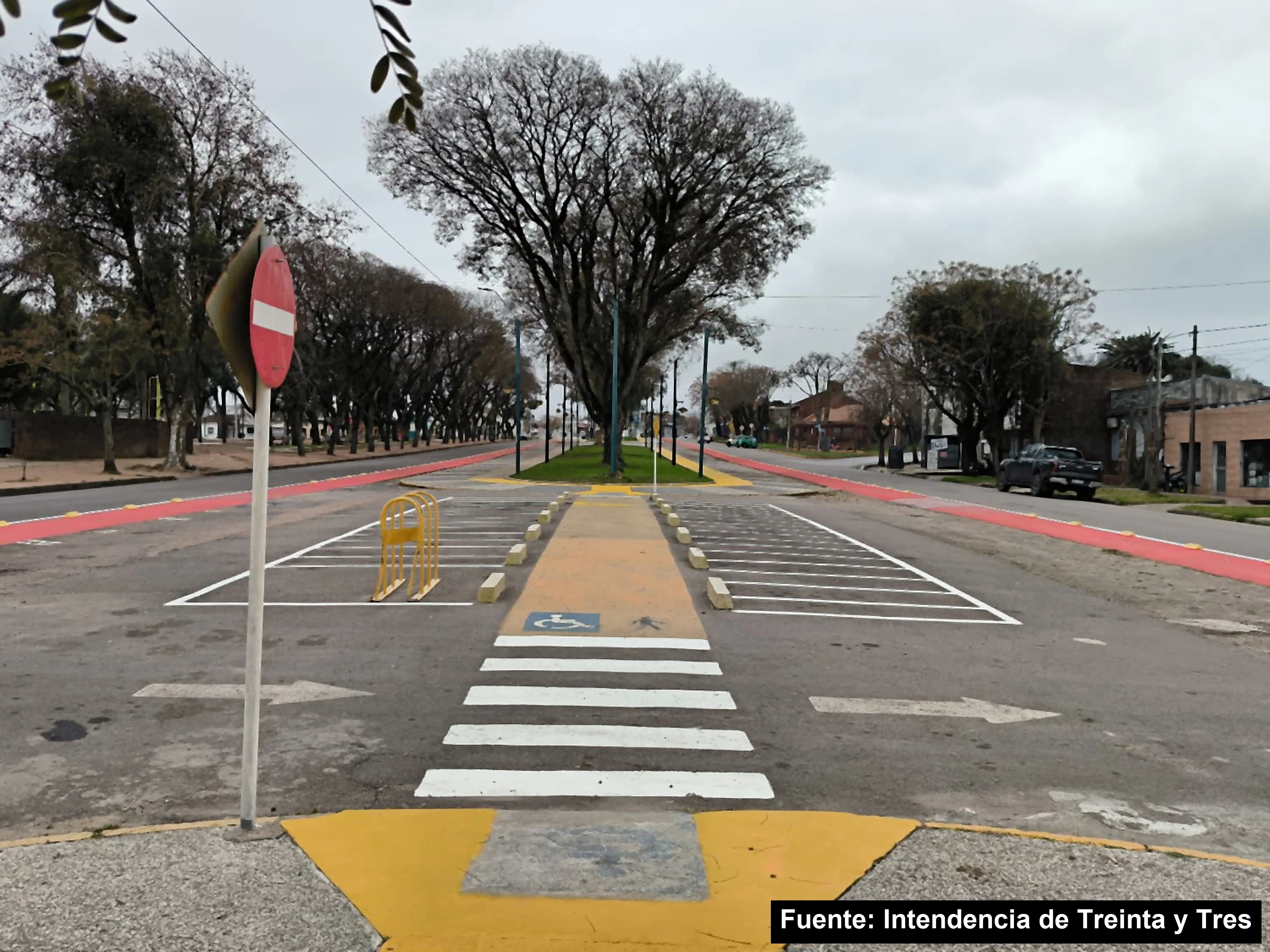 Senda peatonal y cruce del cantero central pintados de amarillo y blanco en la avenida Brasil, con un cartel de pare