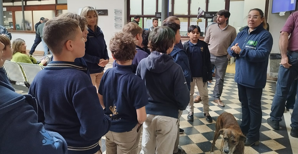 Mayo Amarillo colegio Master Mayo Amarillo